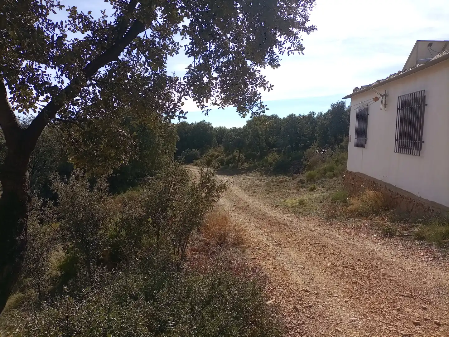 Terreno rustico in vendita a Alpujarra de la Sierra, imagen 3