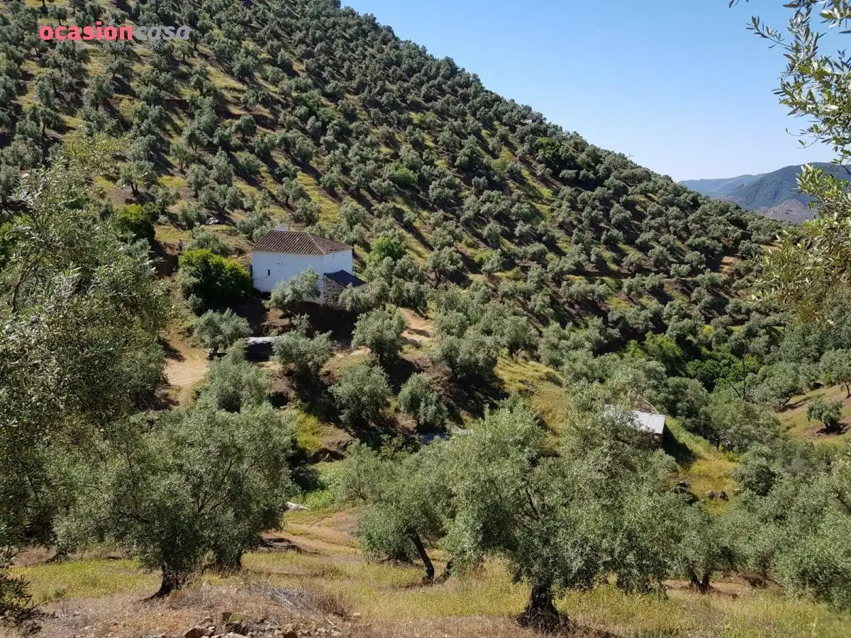 Vista exterior de Finca rústica en venta en Villanueva de Córdoba con Jardín privado, Trastero y Amueblado