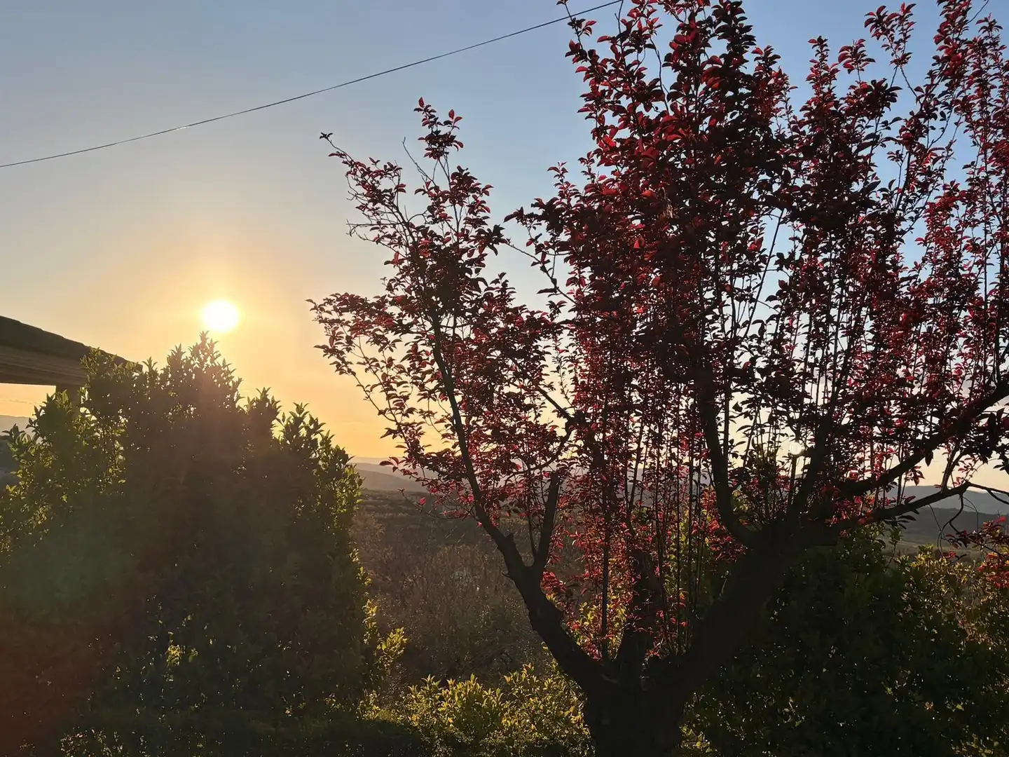 Vista exterior de Casa o xalet en venda en Agres amb Terrassa i Balcó