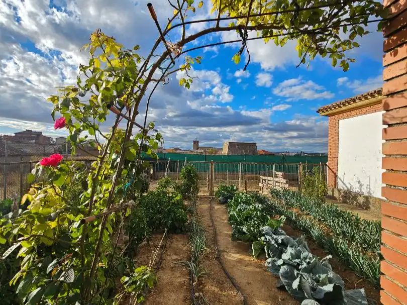Garten von Geschaftsraum zum Verkauf in Osorno la Mayor mit Terrasse