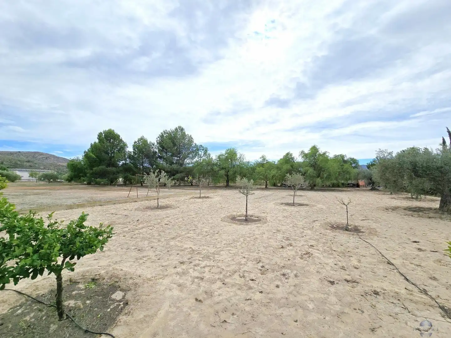 Villa in vendita a Campo Alto - Club de Campo, imagen 15