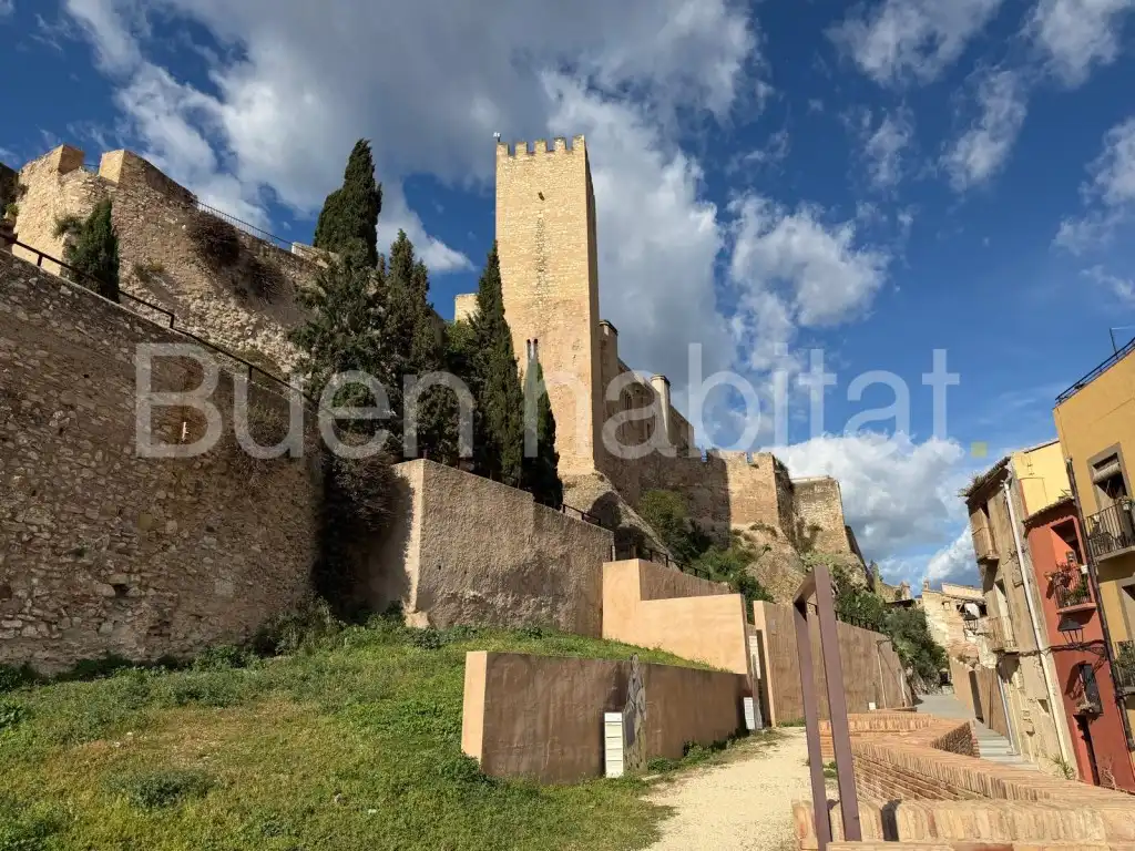 Terreny residencial en venda a CT Castell 18, imagen 3