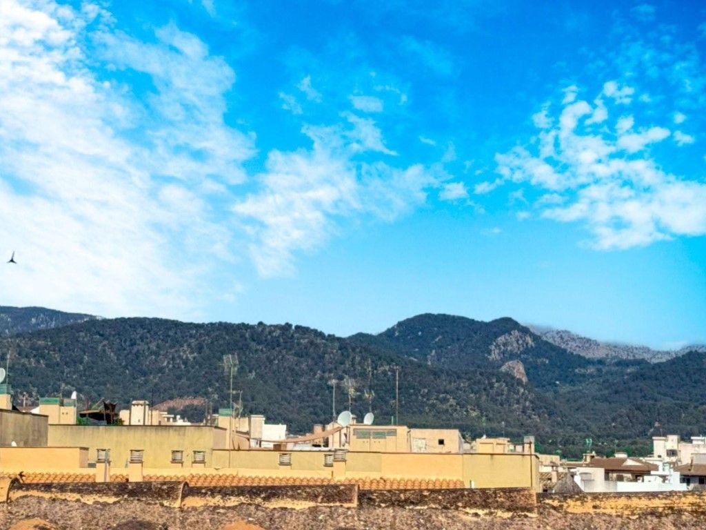 Flat for sale in Avenida Del Bisbe Llompart, Gran Via de Colom