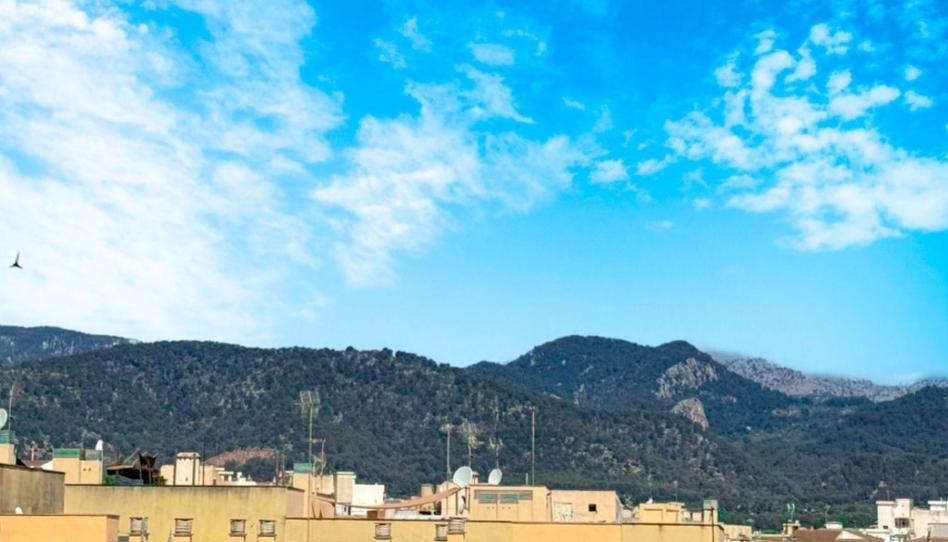 Photo 1 of Flat for sale in Avenida del Bisbe Llompart, Gran Via de Colom, Illes Balears