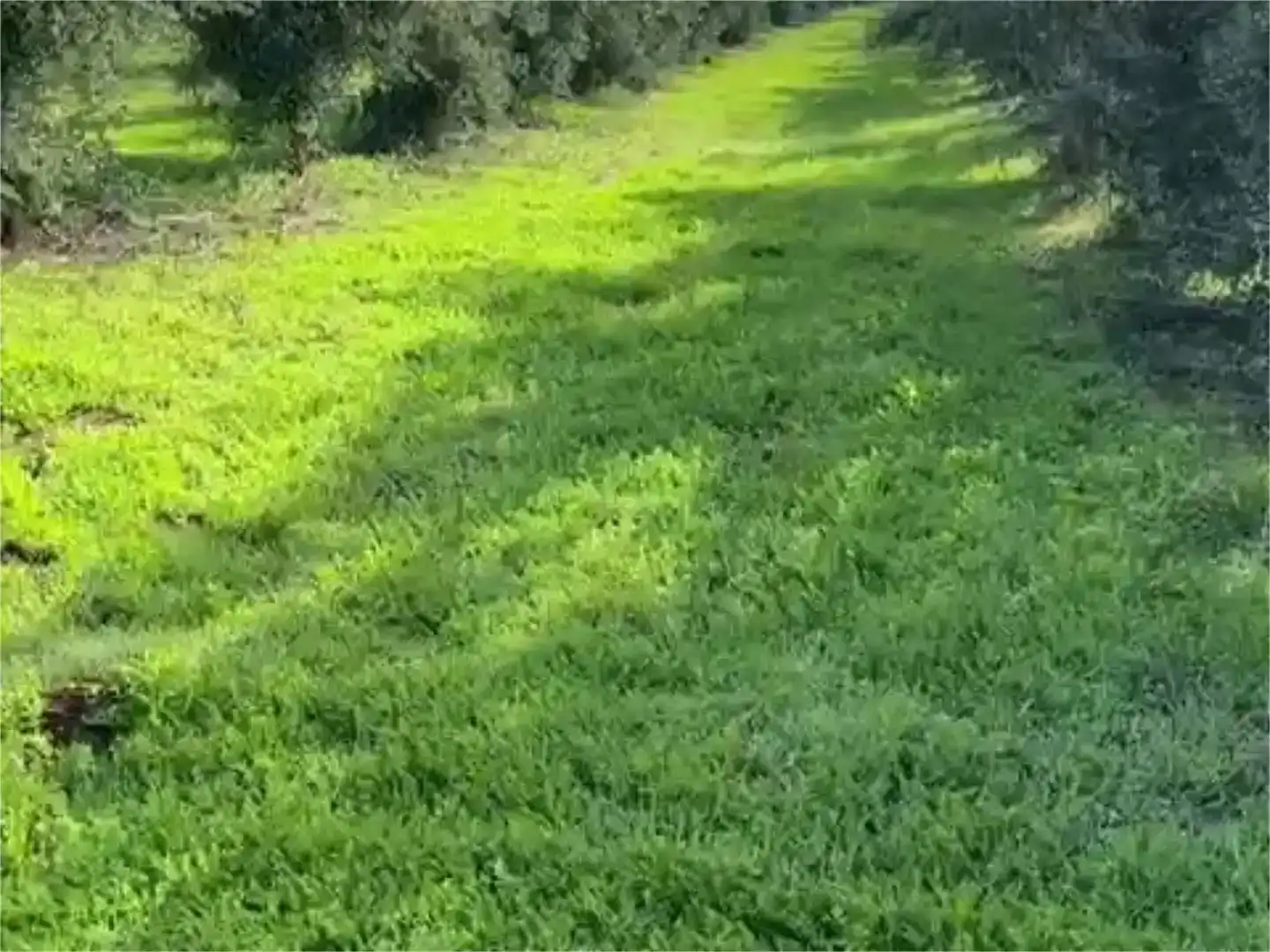 Piso en venta en Piedrabuena