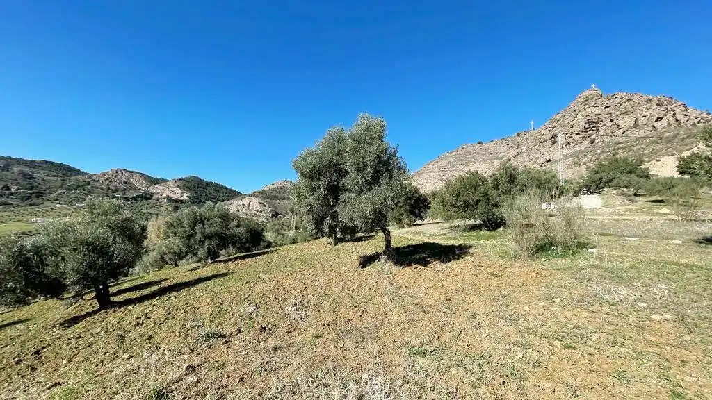 Terreny residencial en venda a Álora, imagen 10