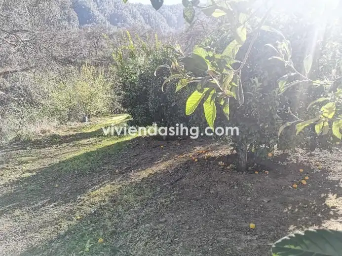 Terrain rustique à vendre à El Bebedero - Pinolere - Aguamansa, imagen 14