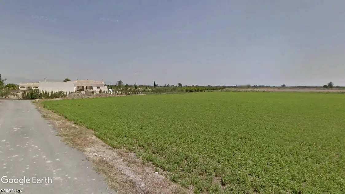 Terreno rustico in vendita a Catral, imagen 2
