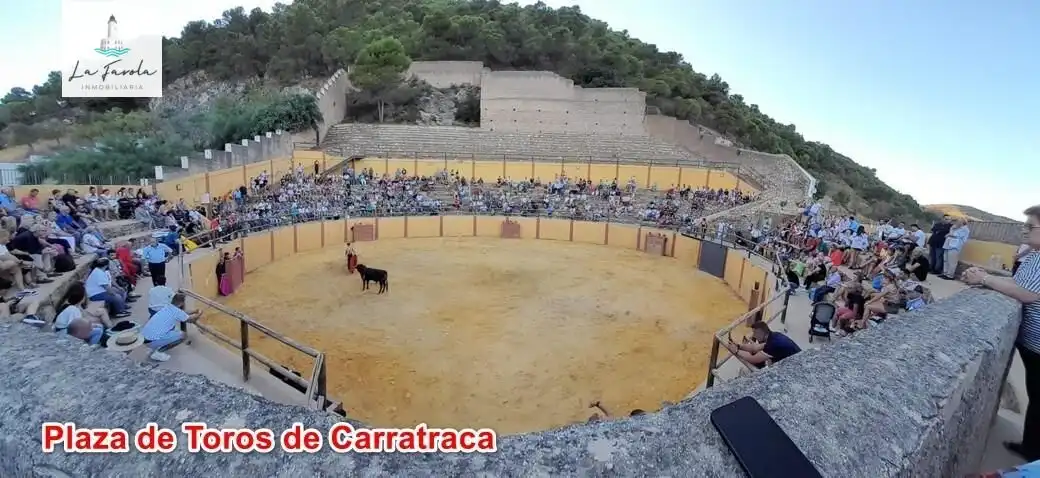Vista exterior de Casa o xalet en venda en Carratraca amb Aire condicionat, Jardí privat i Terrassa