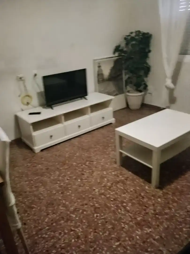 Sala de estar de Piso de alquiler en Pedanías Este