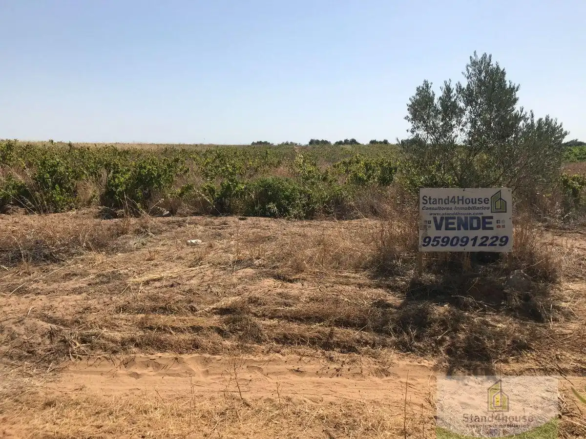 Casa rústica en venda a Bollullos Par del Condado, imagen 4