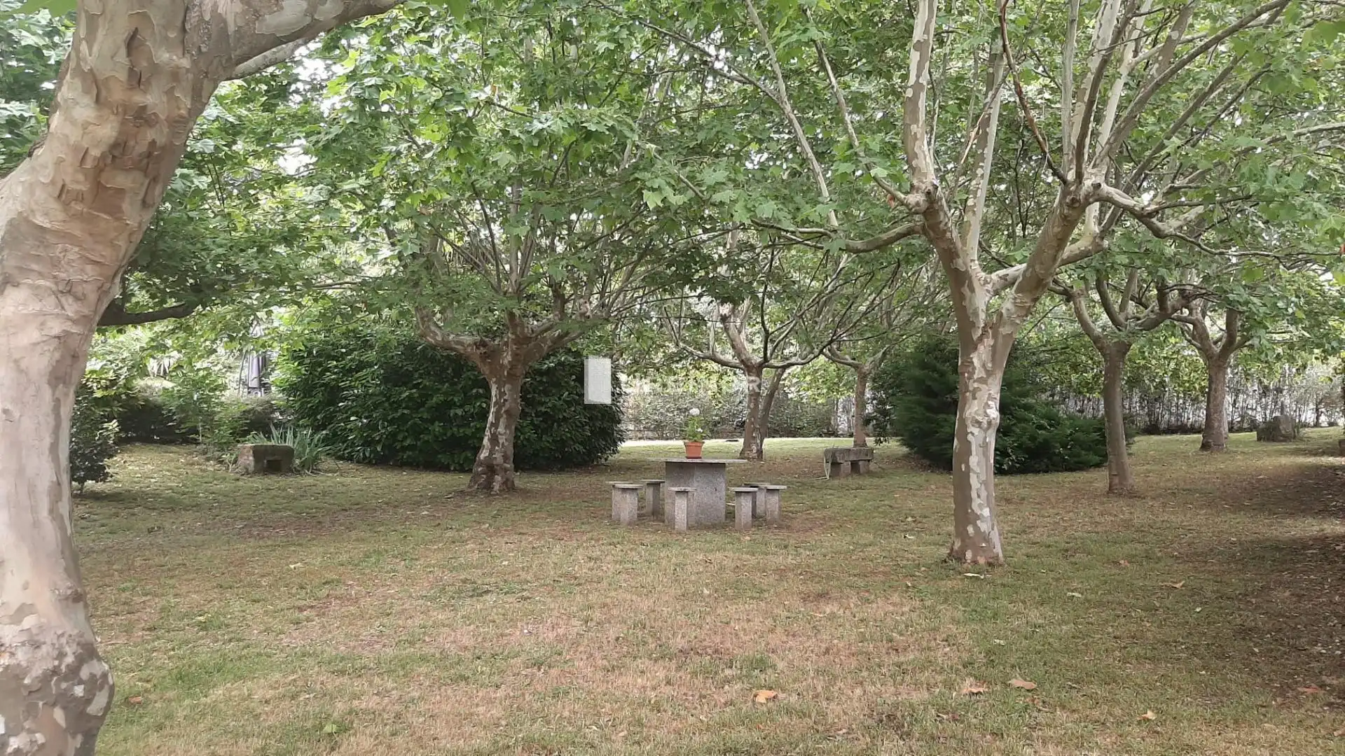 House with terrace for sale in O Pereiro de Aguiar, imagen 33