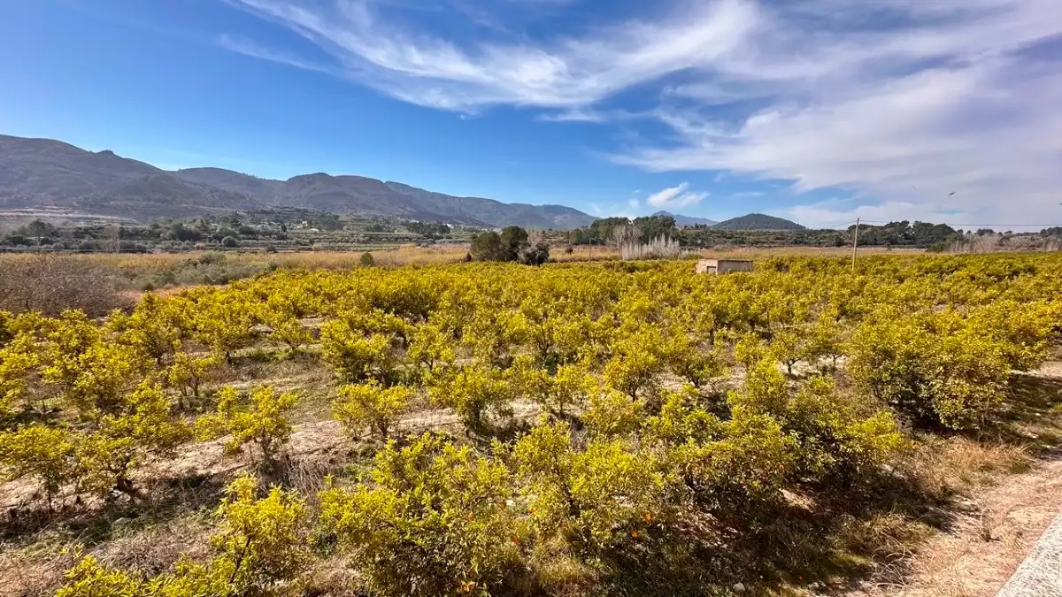 Casa o chalet en venta en Benicolet