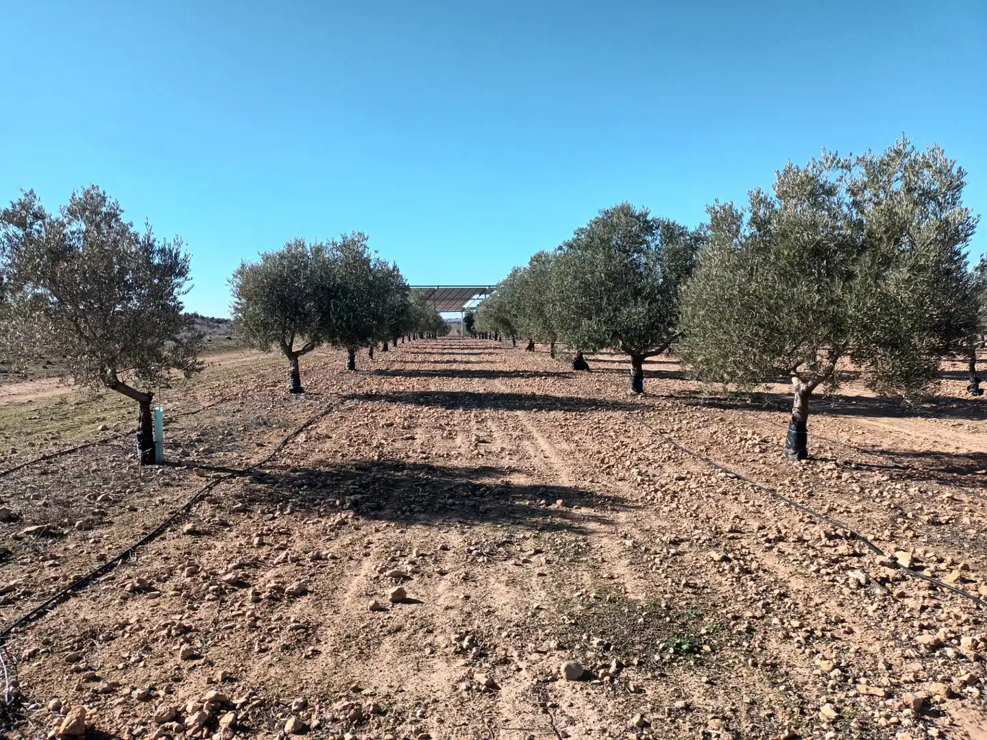 Terrenys i solars en venda a El Toboso, imagen 8
