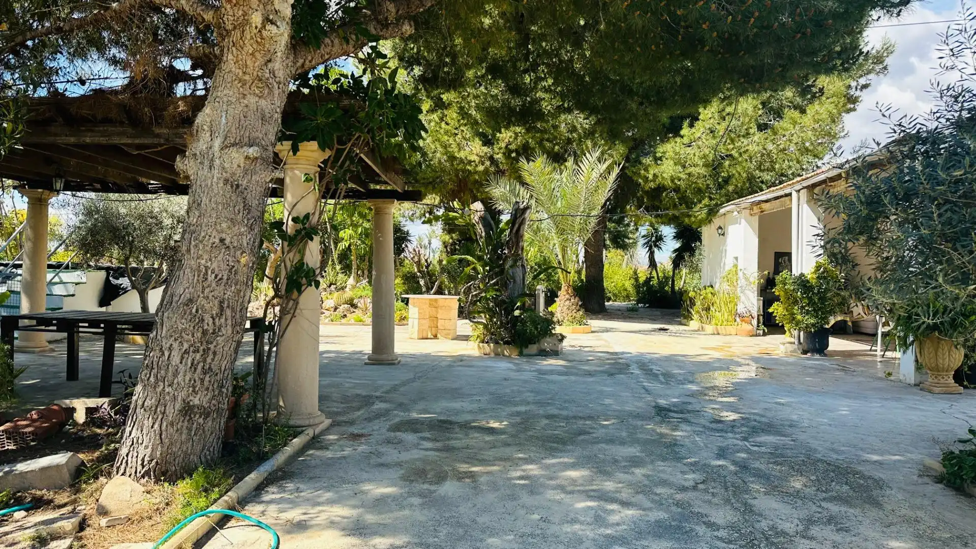 Jardí de Casa o xalet en venda en Elche / Elx amb Jardí privat, Traster i Piscina