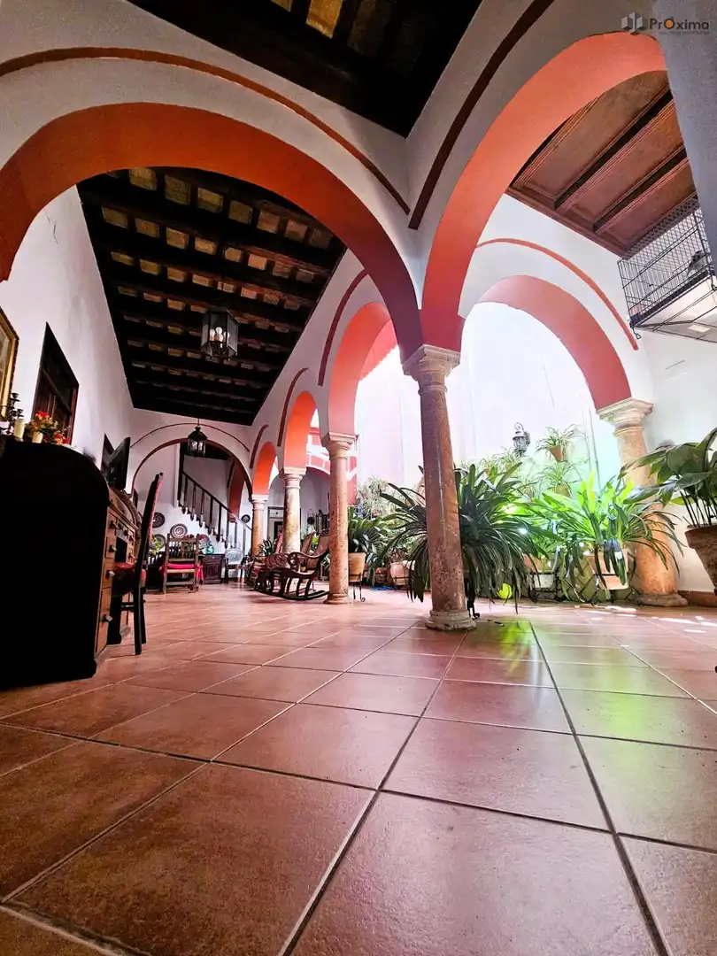 Casa o xalet en venda en Écija amb Aire condicionat