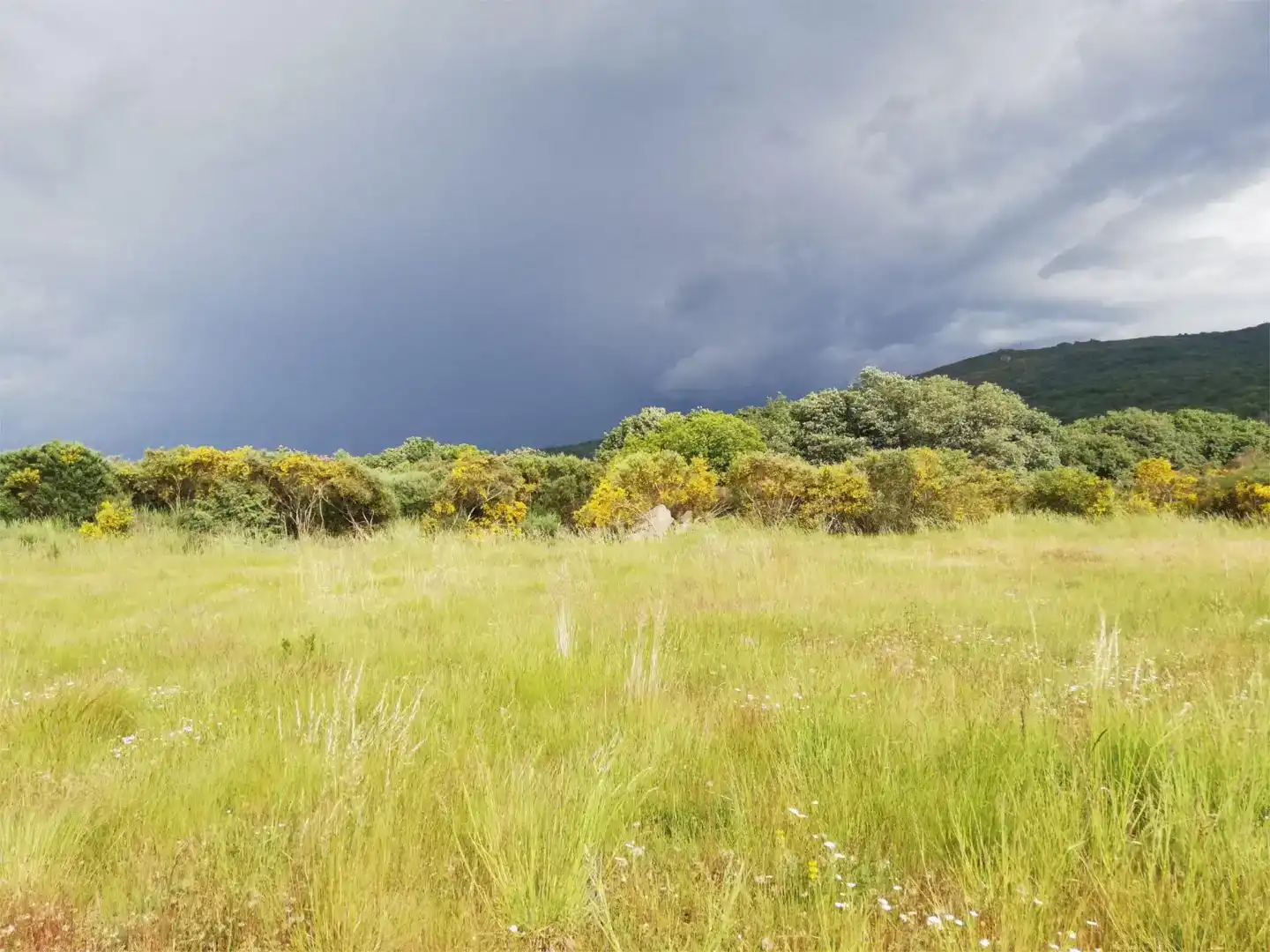 Finca rústica en venta en Os Blancos 