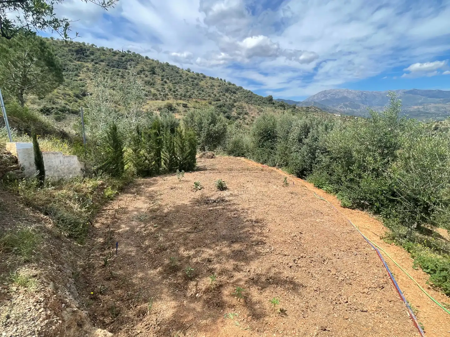 Terreno en venta en Guaro