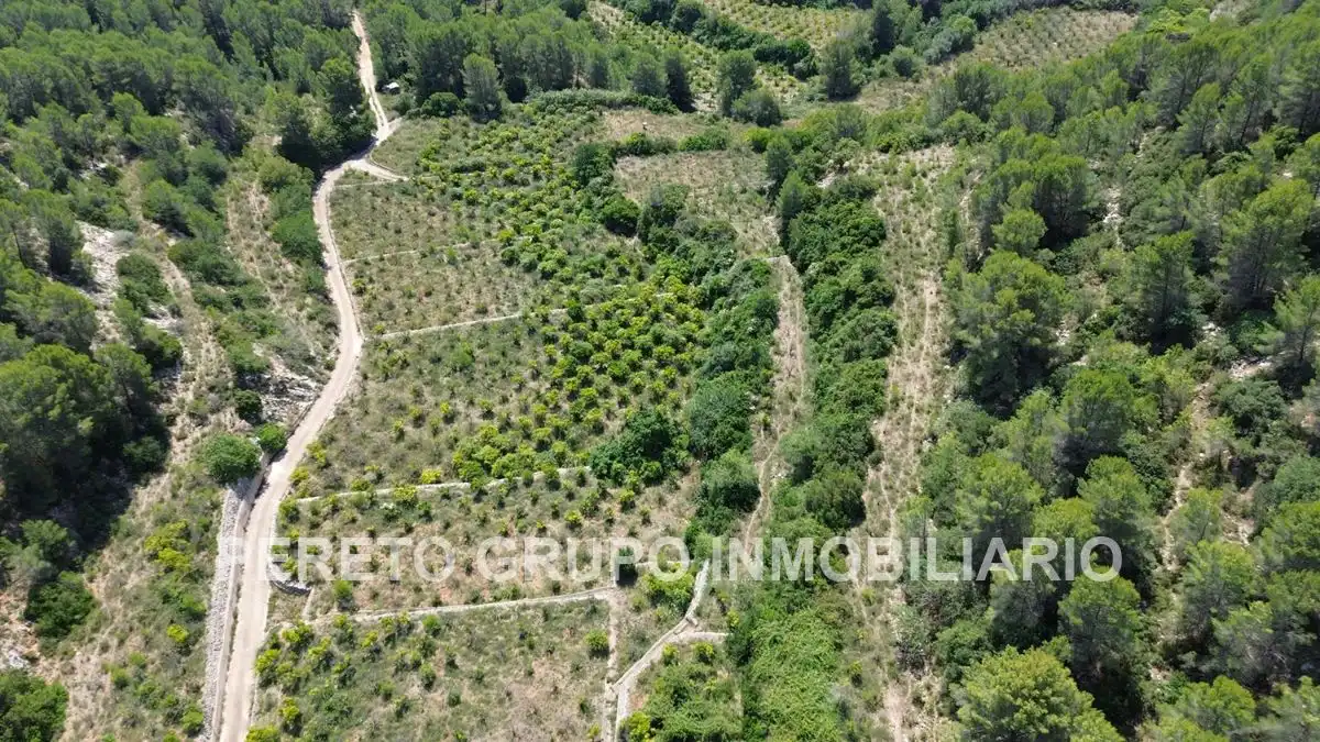 Terreno residencial en venta en Oliva pueblo, imagen 7