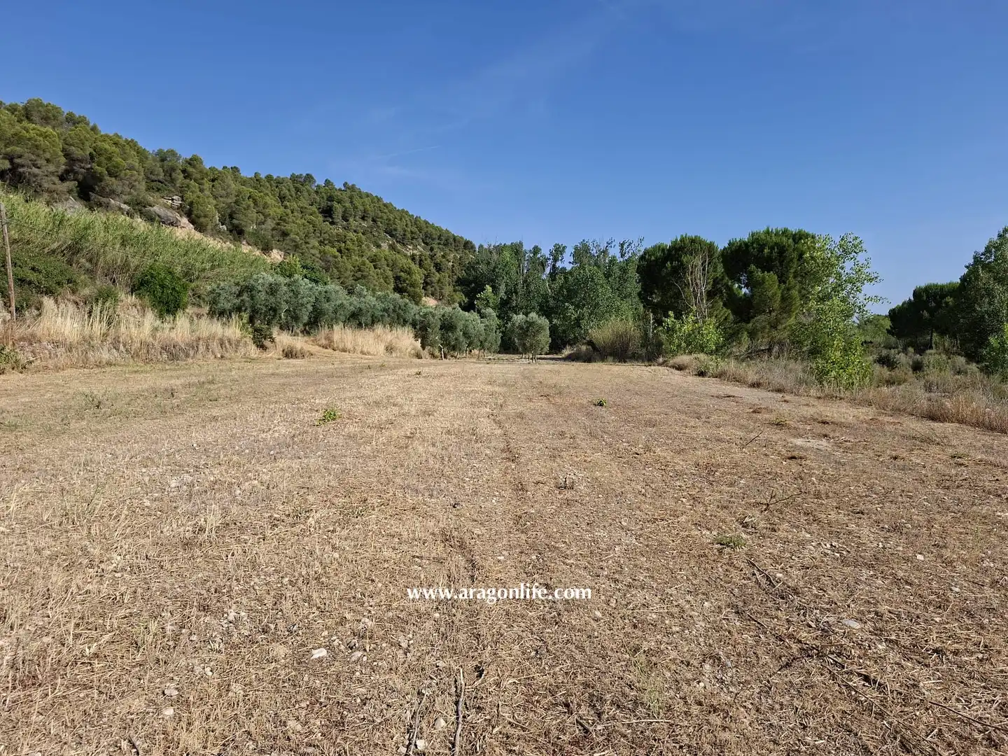 Finca rústica en venda en Mazaleón