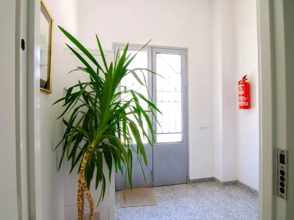 Houses for sale in Brenes