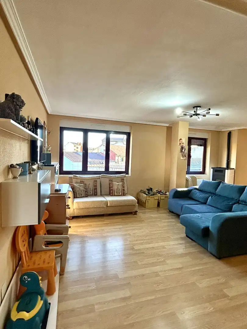 Living room of Flat for sale in Villamañán, León