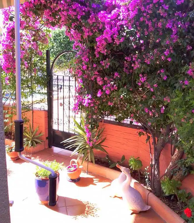 Villa avec piscine à vendre à El Verger, imagen 16