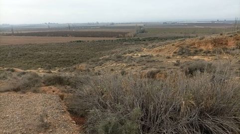 FINCA DE REGADIO CON CASETA DE PIEDRA Y FACIL ACCESO, imatge 5