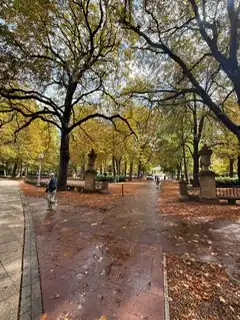 Local comercial de lloguer a Pintor Aurelio Verá-Fajardo Kalea 2, imagen 19