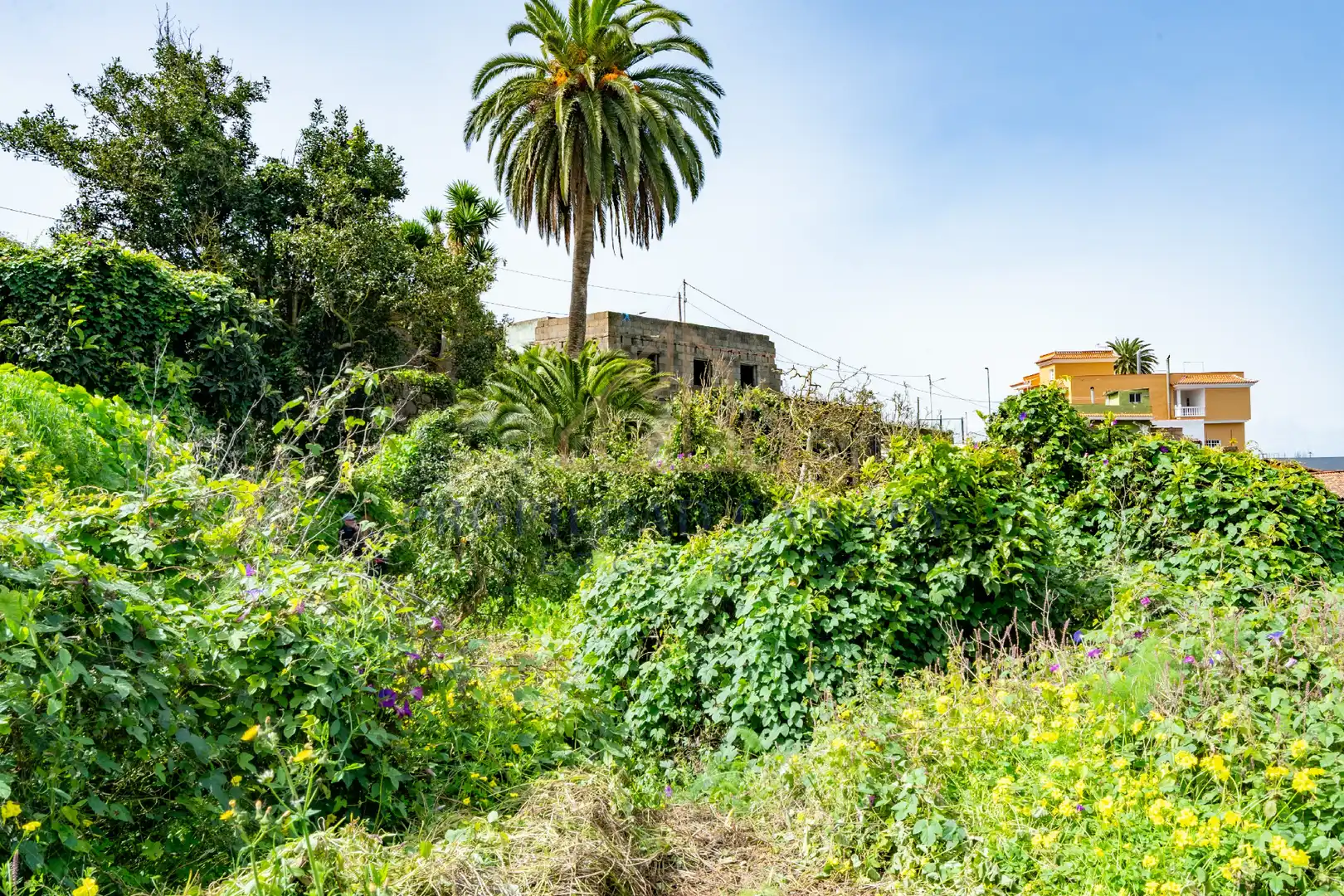 Finca rústica en venda en La Victoria de Acentejo
