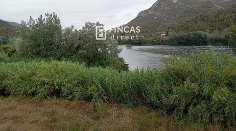 Foto 3 de Finca rústica en venta en Xgpg+h5x, Benifallet, Tarragona