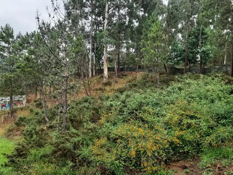 Terreny residencial en venda a Barro, imagen 9