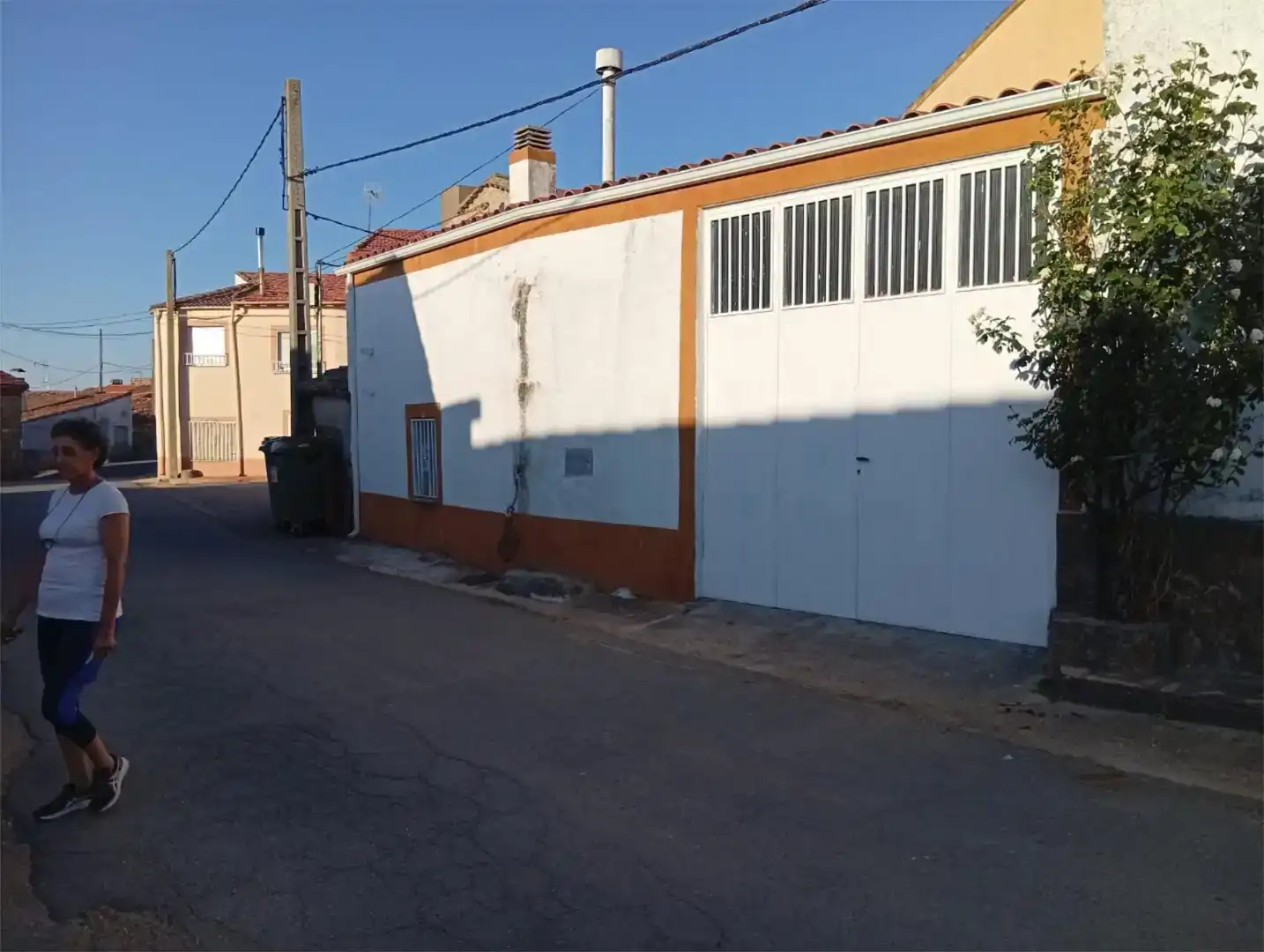 Vista exterior de Finca rústica en venda en Narrillos del Álamo, Ávila