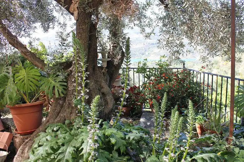 Country house for sale in Lecrín, imagen 13
