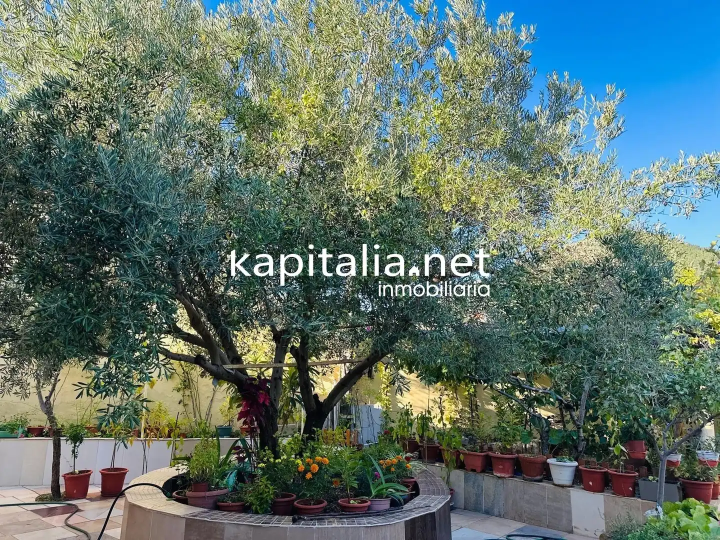 Jardín de Casa o chalet en venta en La Font de la Figuera con Calefacción, Jardín privado y Trastero