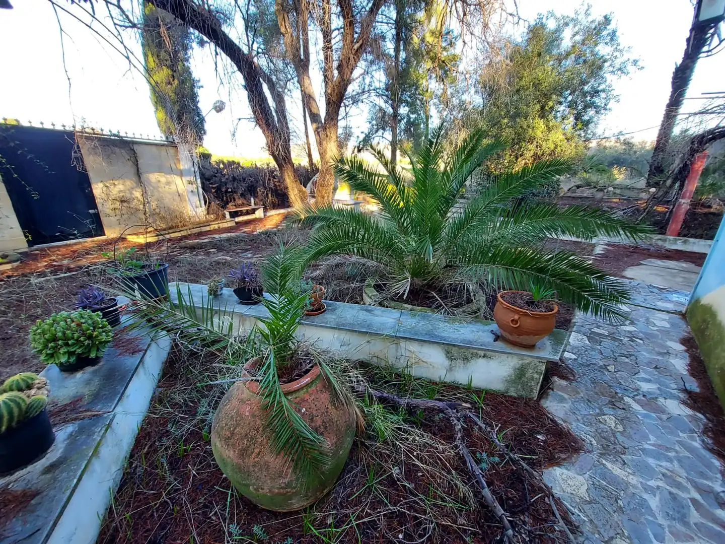 Casa rustica con piscina in vendita a Calasparra, imagen 9