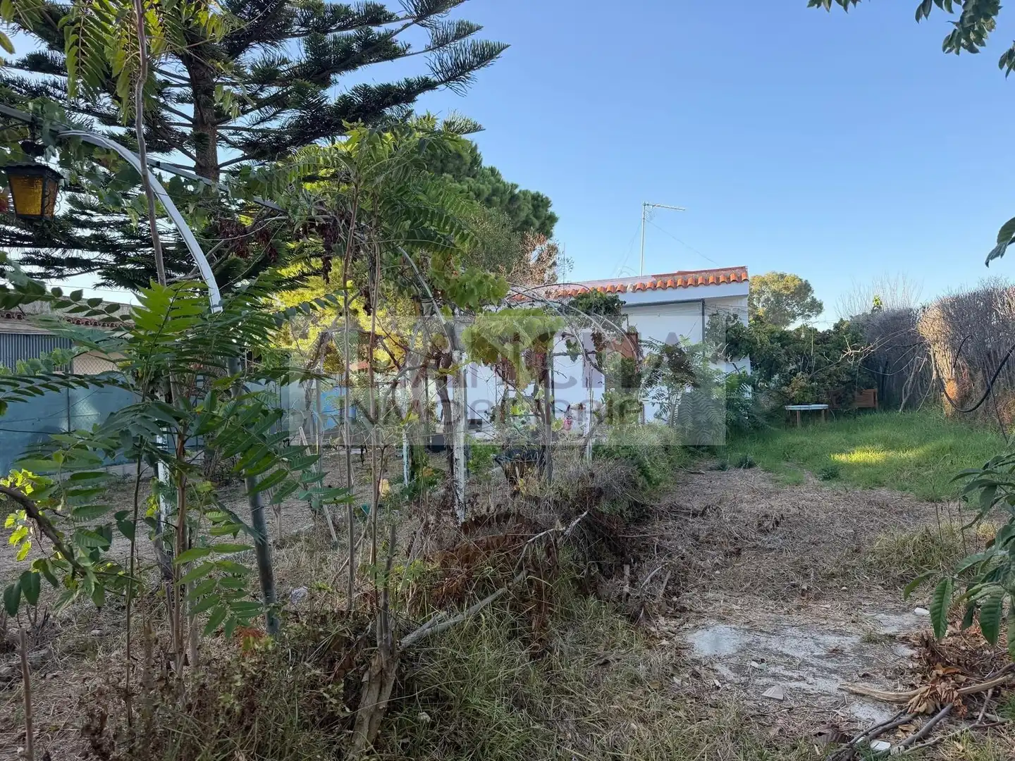 Terreno rustico in vendita a Las Tres Piedras - Costa Ballena, imagen 12