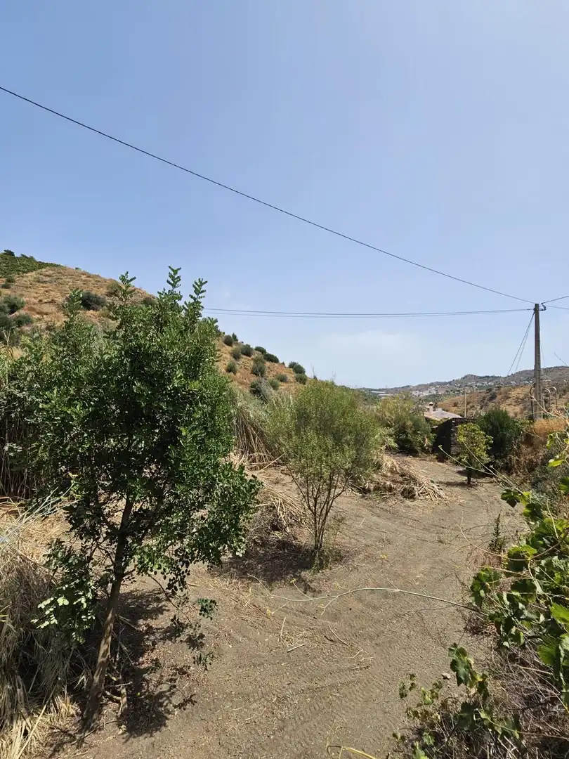 House for sale in Iznate, imagen 31