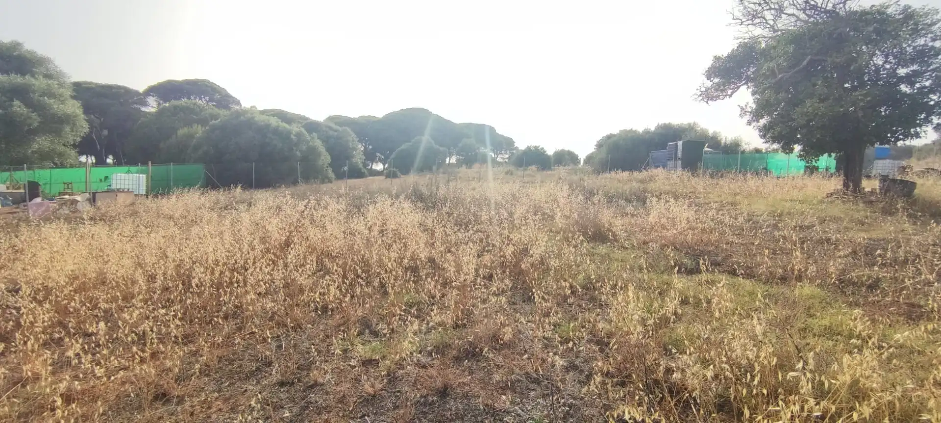 Terreno rustico in vendita a San Roque Pueblo, imagen 3