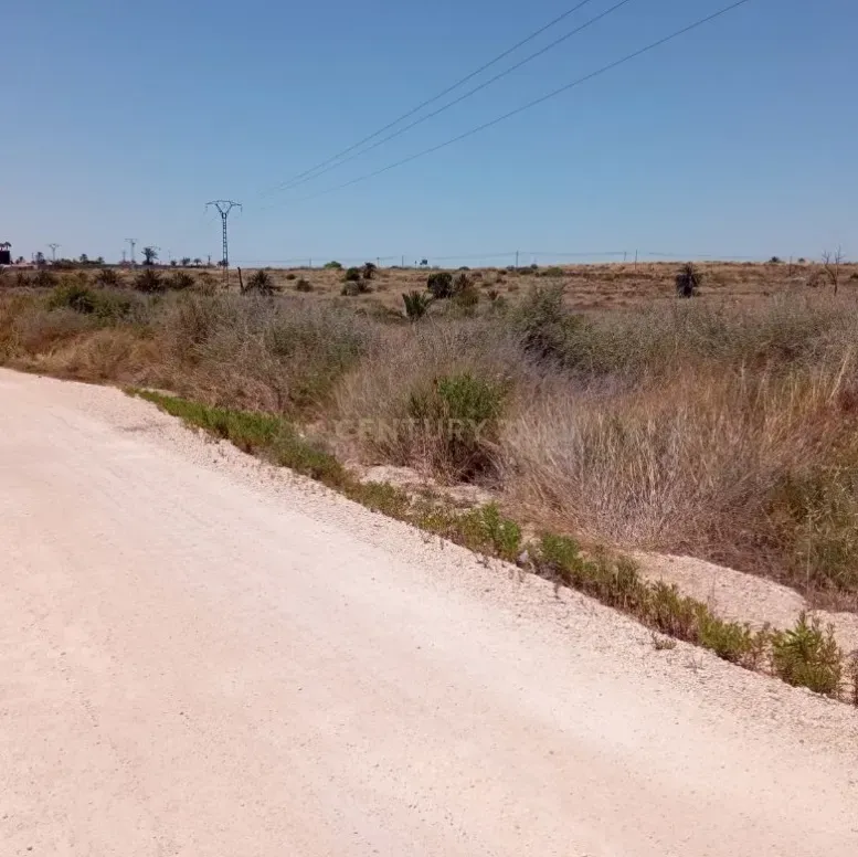 Industrial land for sale in Elche / Elx