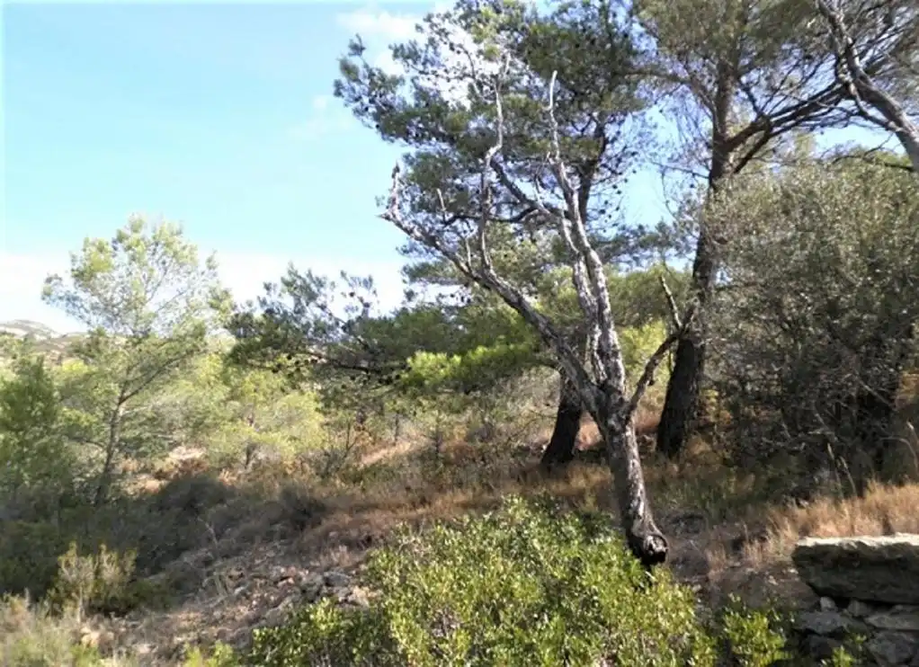 Rustikales Grundstück zum Verkauf in ZONA DISSEMINAT DEL COLL DE LALBA, imagen 6
