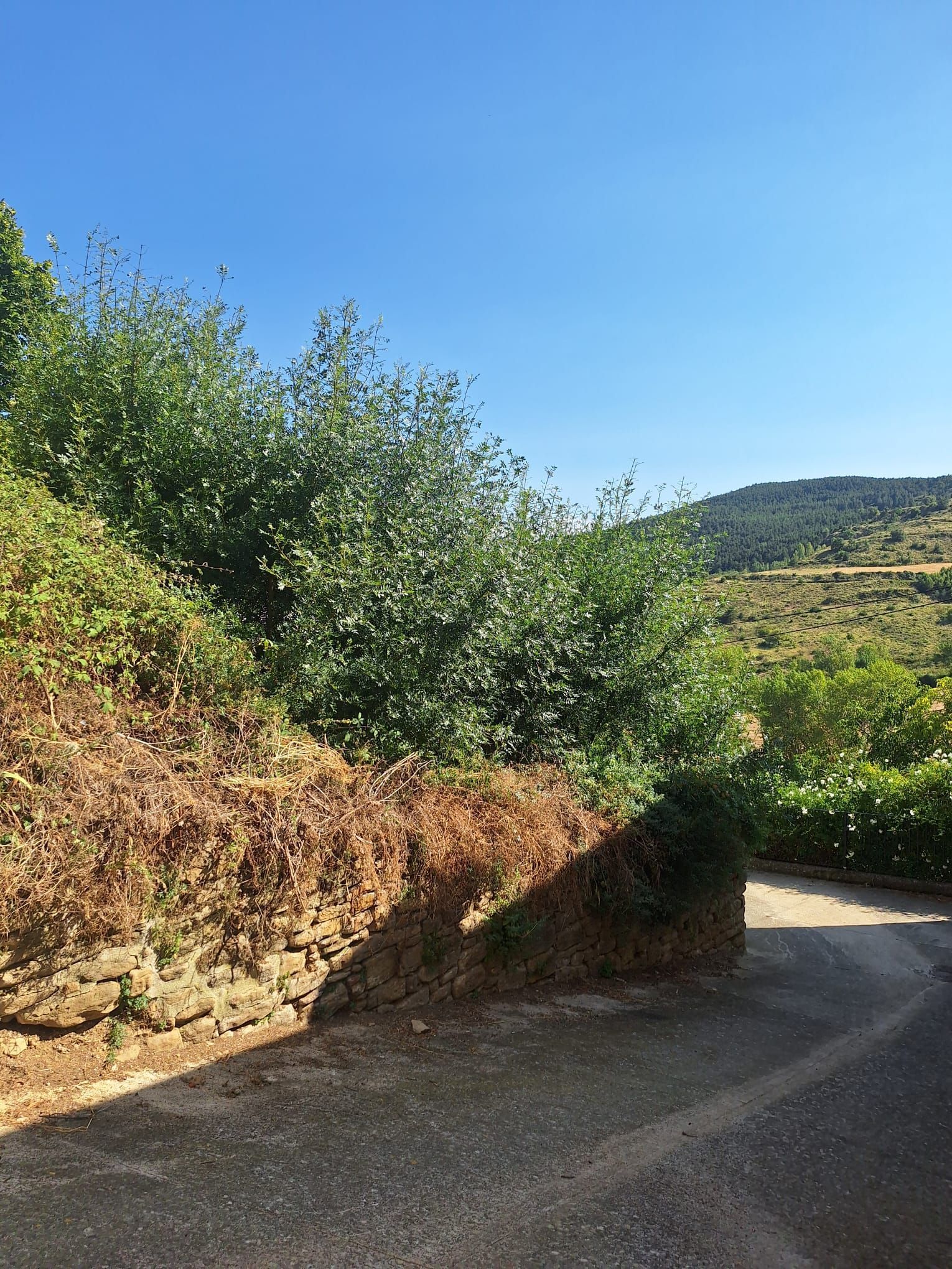 Residencial en venda en Guirguillano