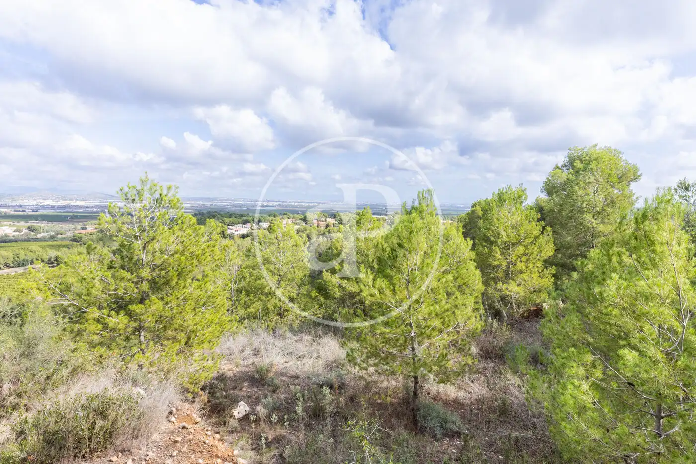 Wohnbaugrundstück zum Verkauf in El Bosque, imagen 6