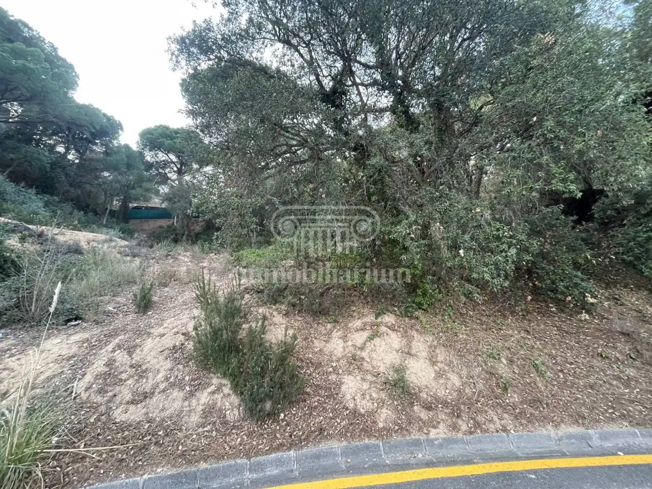 Terreny rústic en venda a Alzines, imagen 6