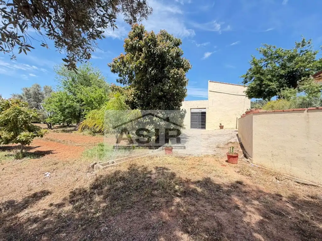 Casa o chalet en venta en Alzira con Terraza y Piscina