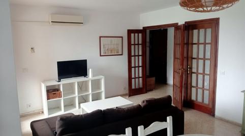 Foto 2 de Pis de lloguer a Cruz Roja,  Sevilla Capital