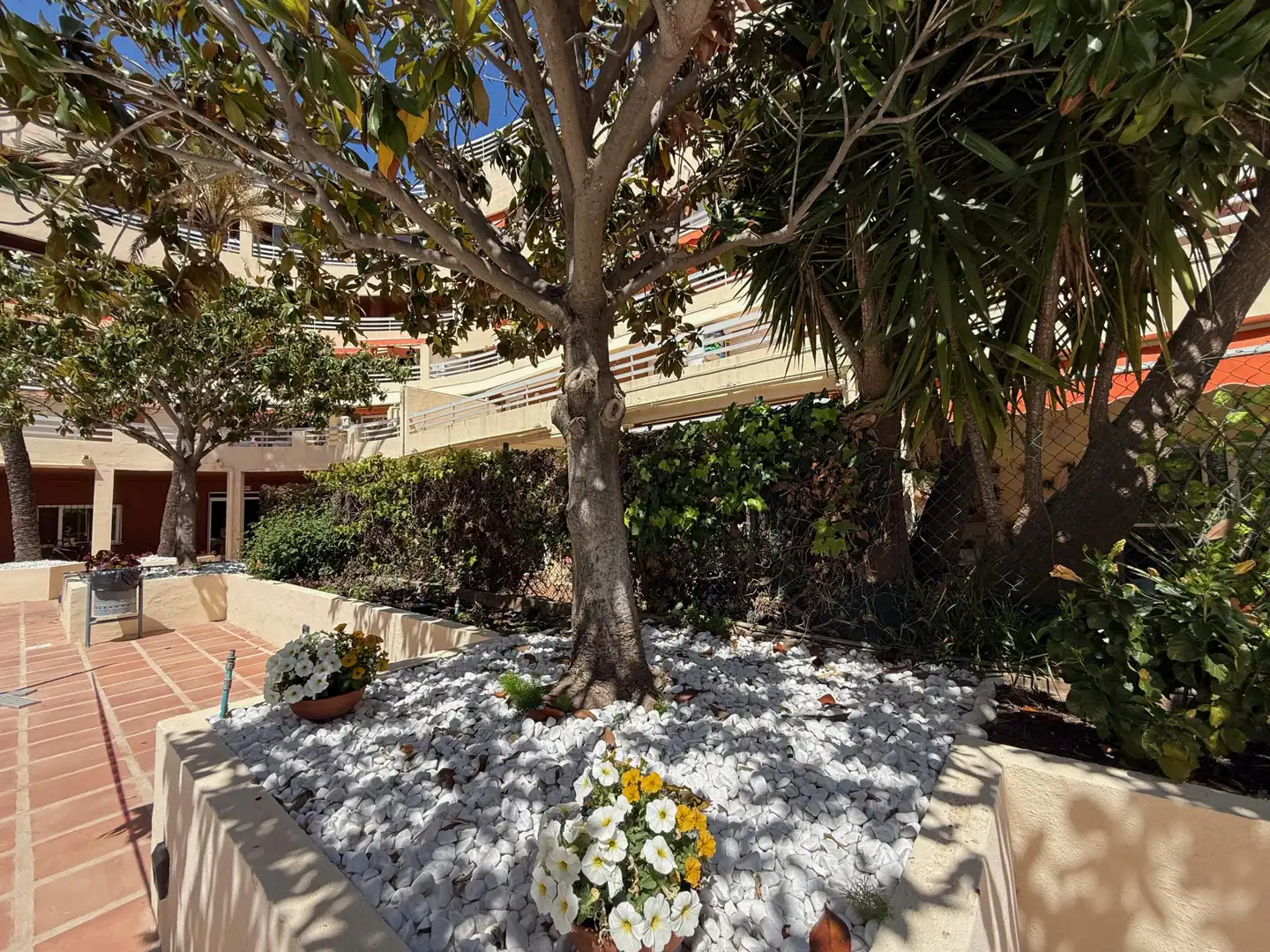 Jardín de Apartamento de alquiler en Marbella con Terraza, Piscina y Piscina comunitaria