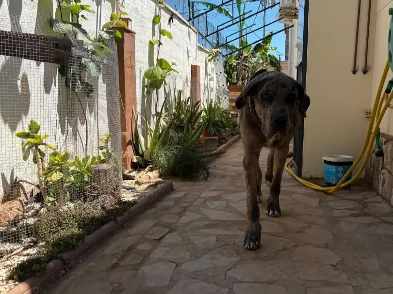 Vista exterior de Casa o xalet en venda en Vinaròs amb Aire condicionat, Calefacció i Jardí privat