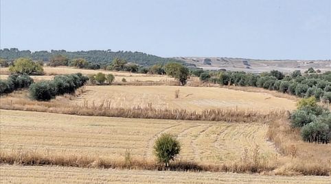 Foto 4 von Residential zum Verkauf in Calle Salinas, 6, Altos del Olivar - El Caracol, Valdemoro