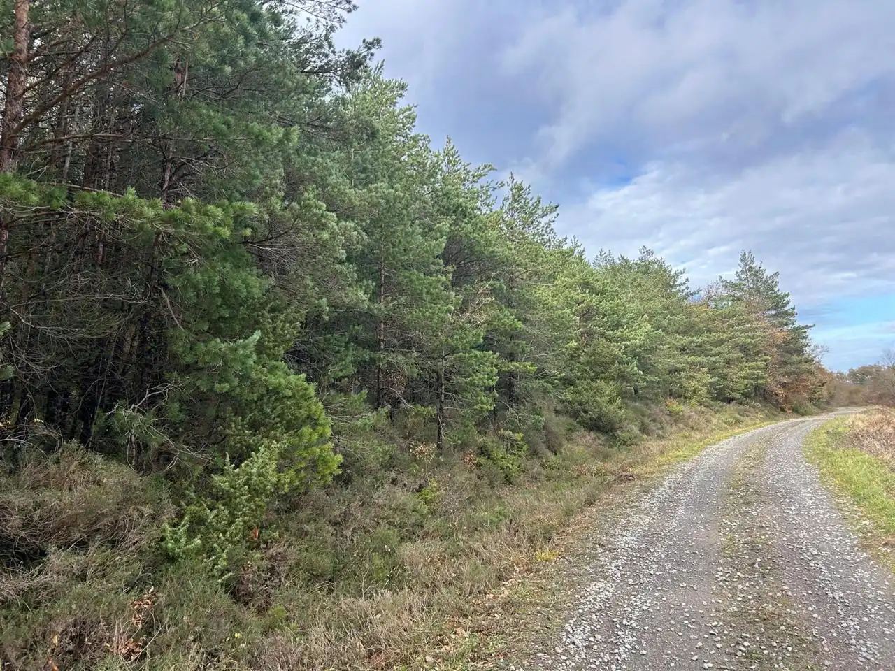 Land for sale in Kuartango